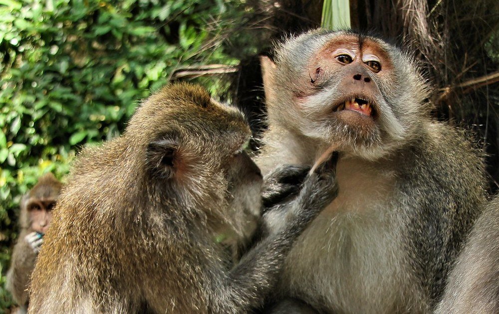 Photograph by Пётр Шевелько