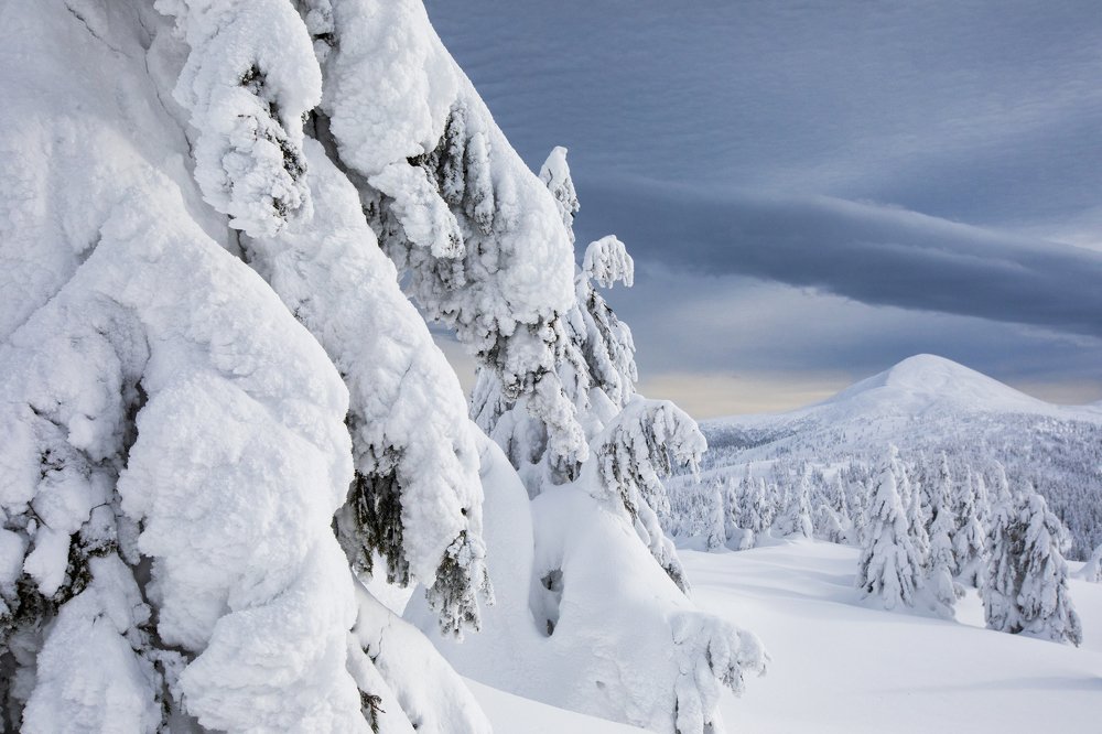 Photograph by Алина Андреева