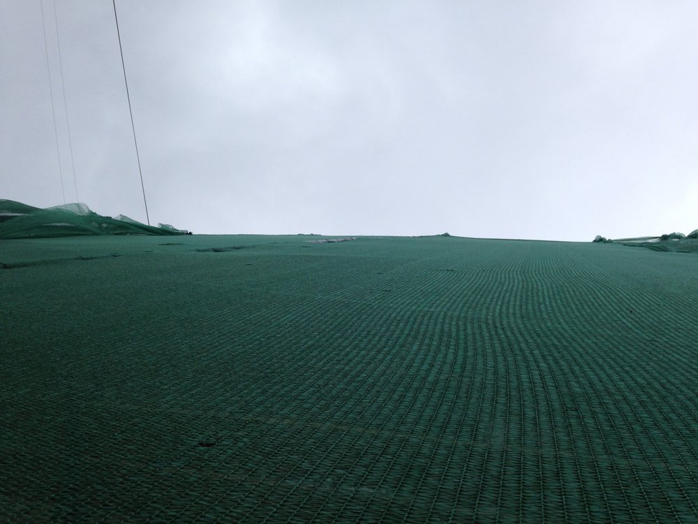 Photo #4186006