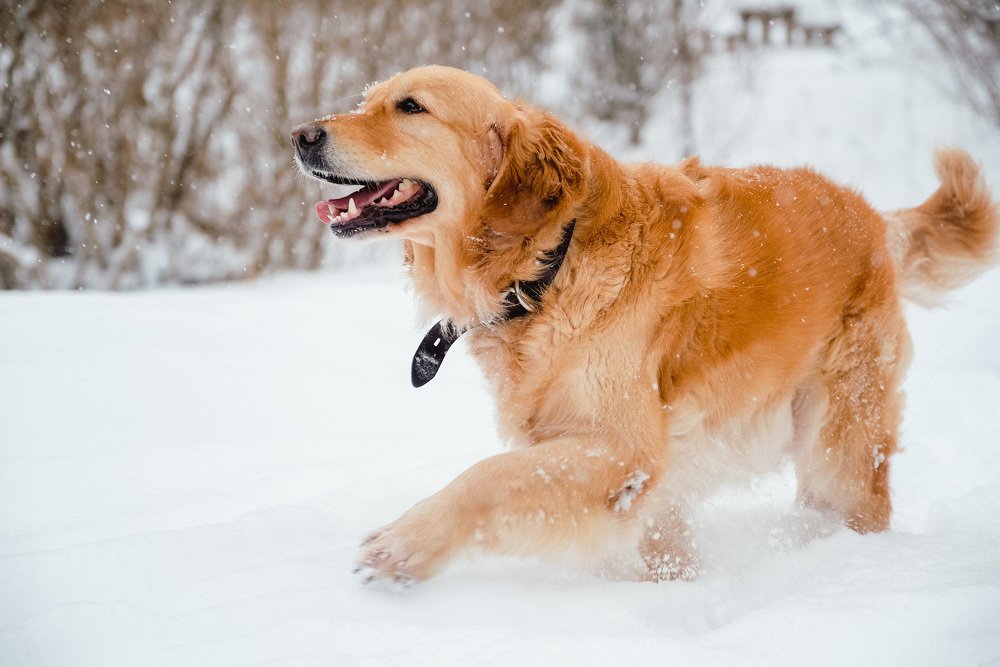 Photograph by Анна Герман