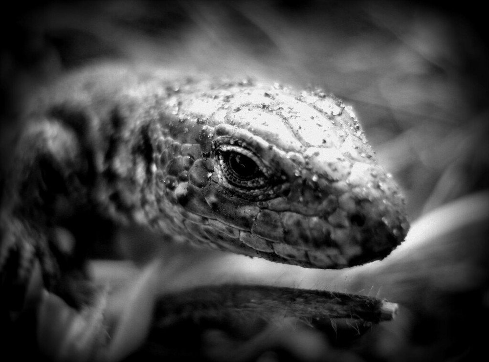 Фотография автора Павел Попов