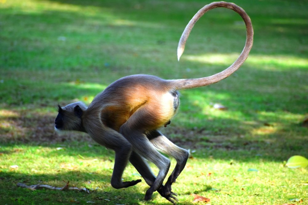 Photograph by Subrata Das