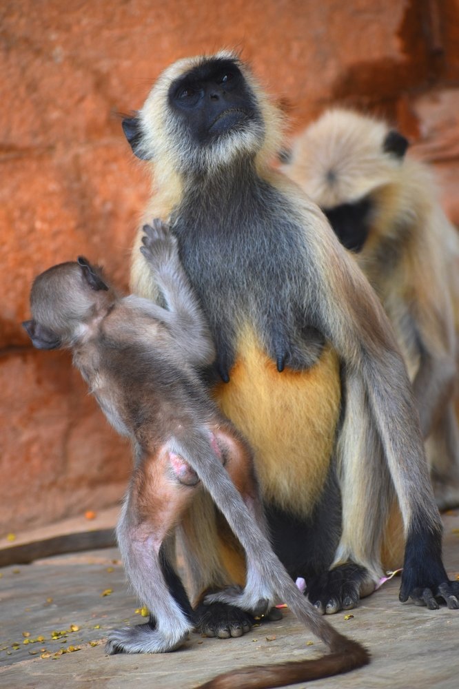 Photograph by Subrata Das
