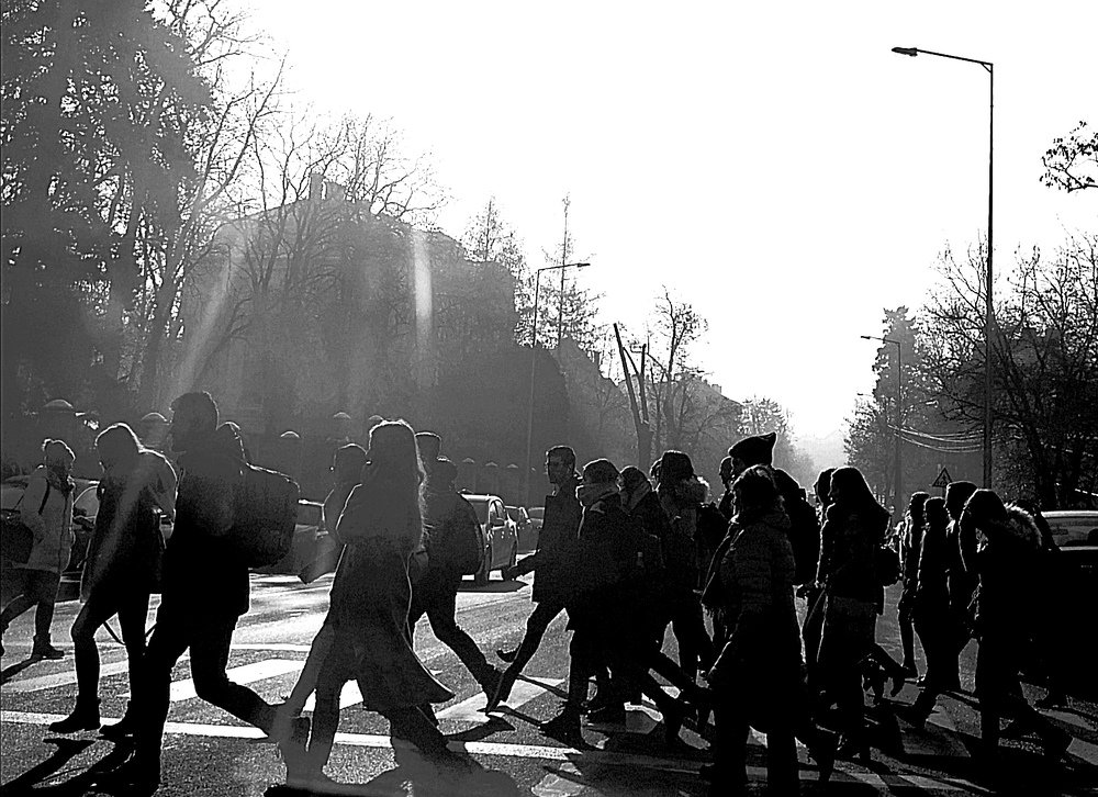 Photograph by Nicoleta Cherechesiu