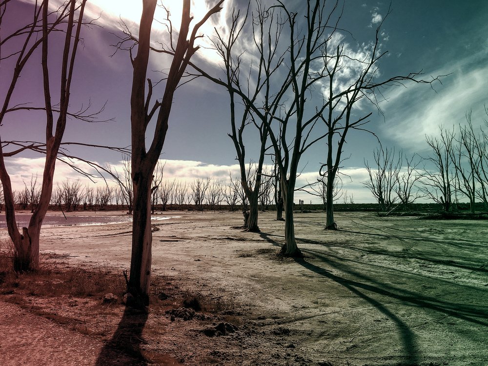 Photograph by Viviana García