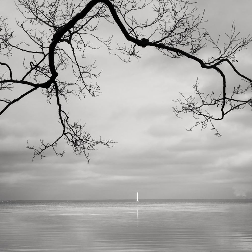 Photograph by Елена Курзина