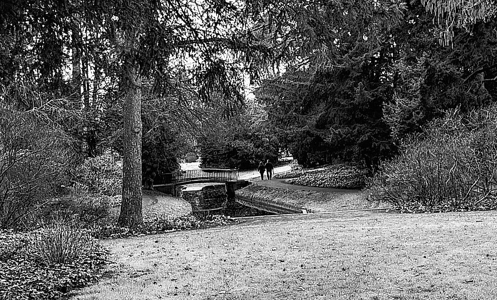 Photograph by Nicoleta Cherechesiu