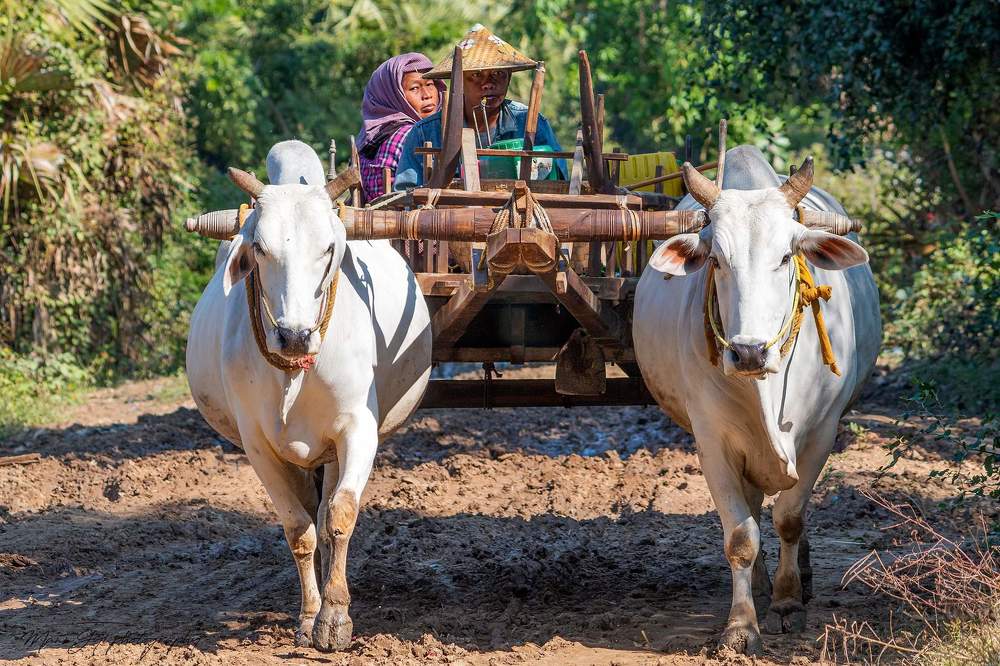 Photograph by Ye Mann Kyaw