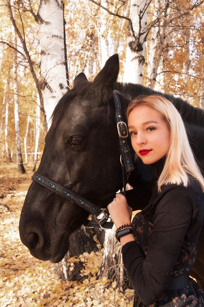 Красная шапочка и Черный красавчик