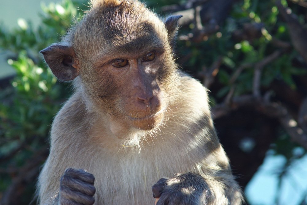 Photograph by Виктор Игнатенко.