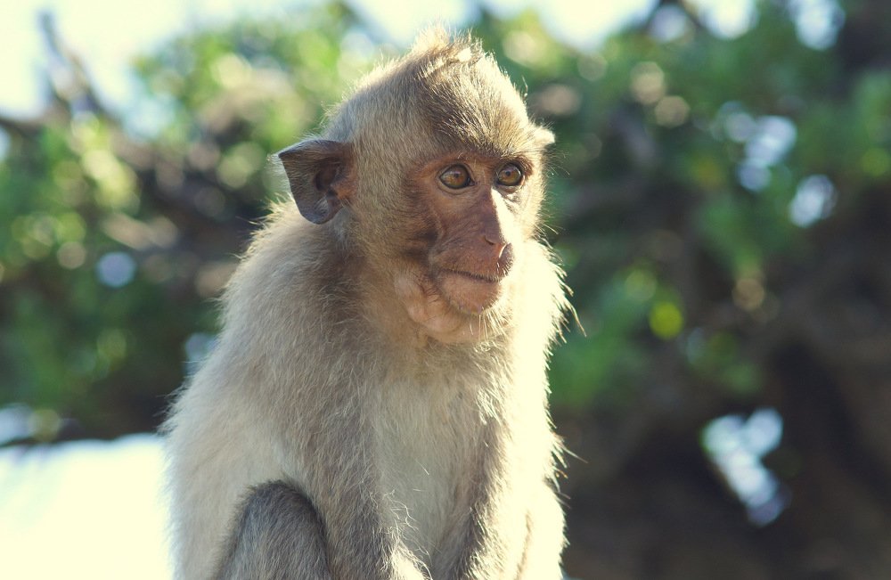 Photograph by Виктор Игнатенко.