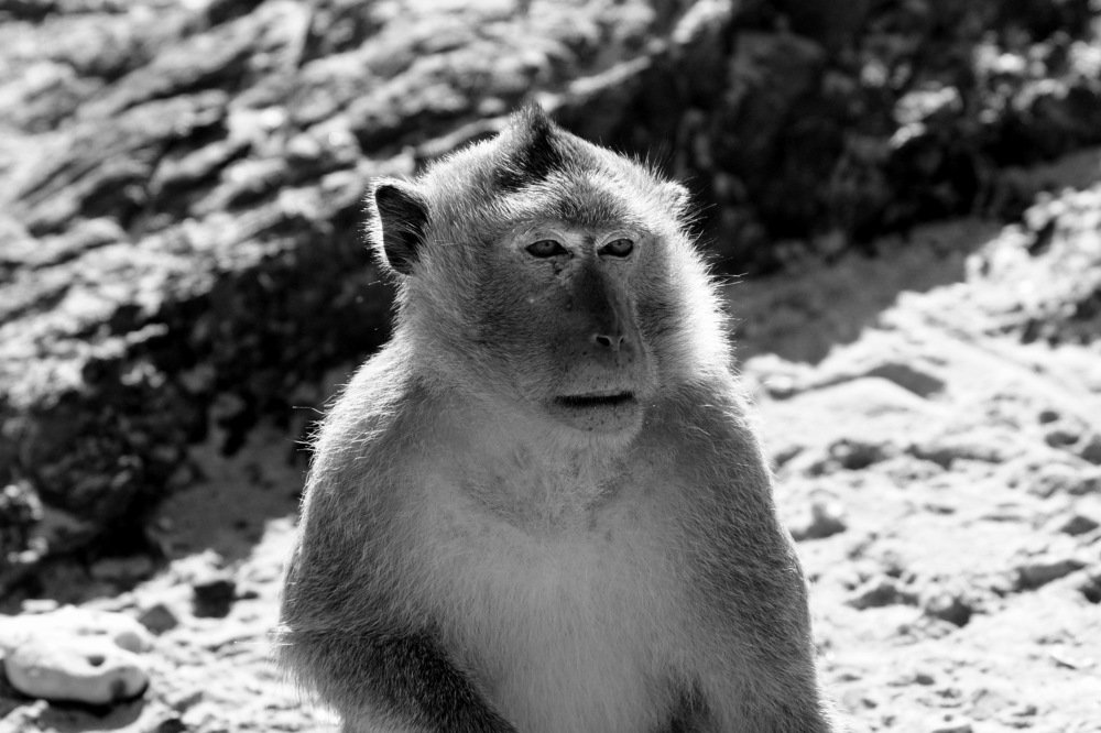 Photograph by Виктор Игнатенко.