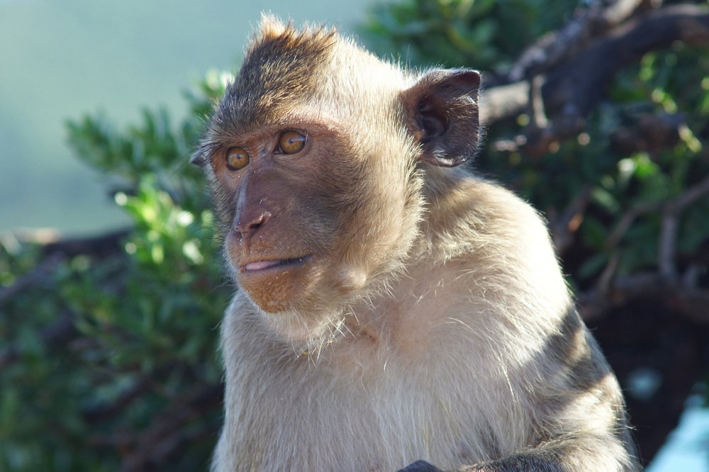 Photograph by Виктор Игнатенко.