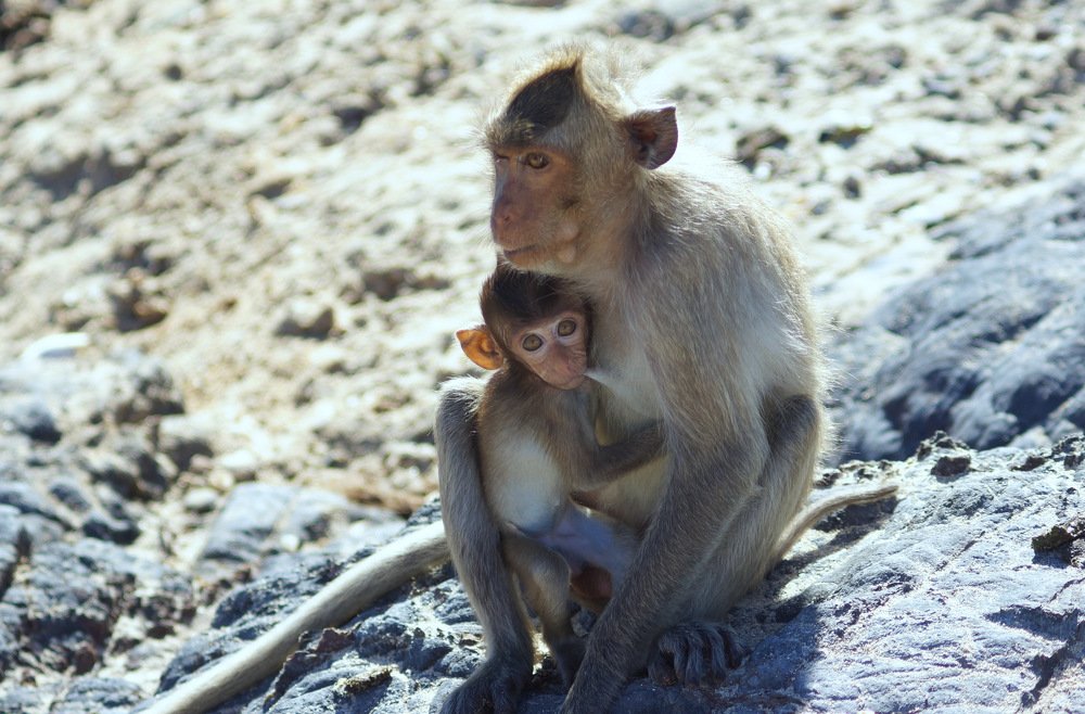 Photograph by Виктор Игнатенко.