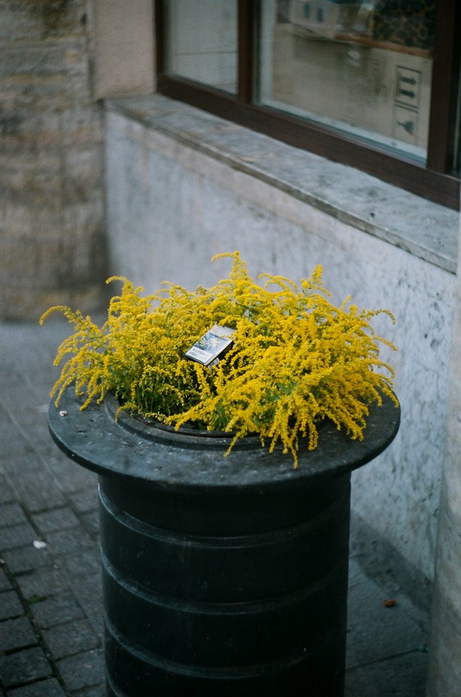 Photograph by Юлия Мищенко