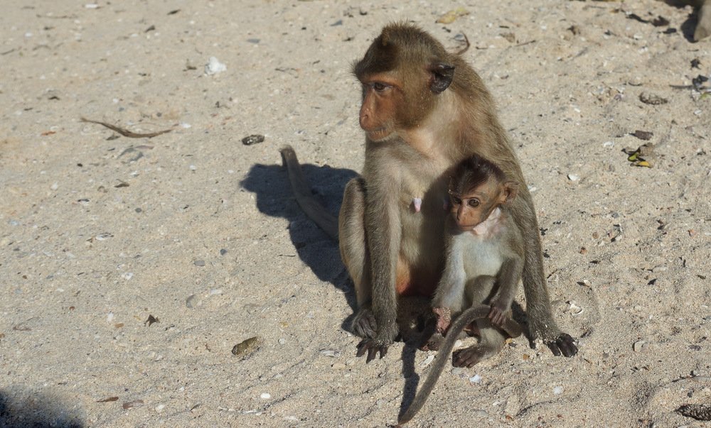 Photograph by Виктор Игнатенко.