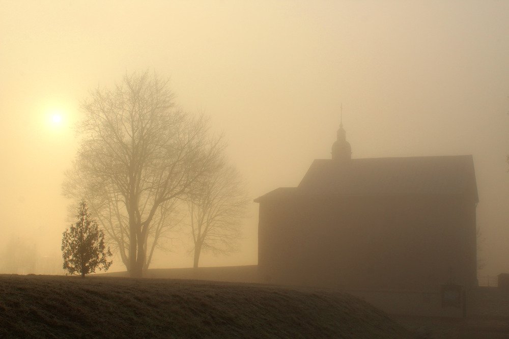 Photograph by 