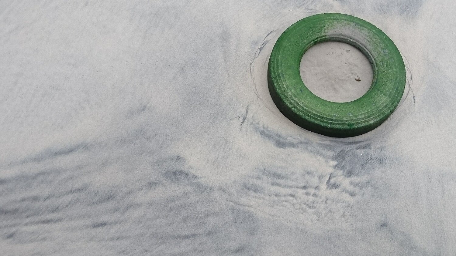 Photo #4186329
