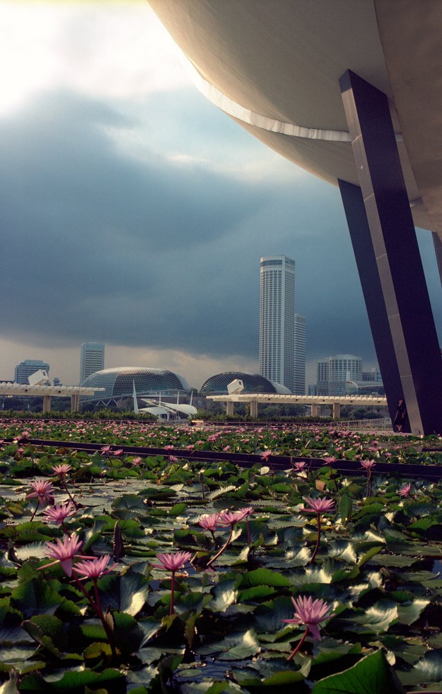 Photograph by Сергей Маранчук