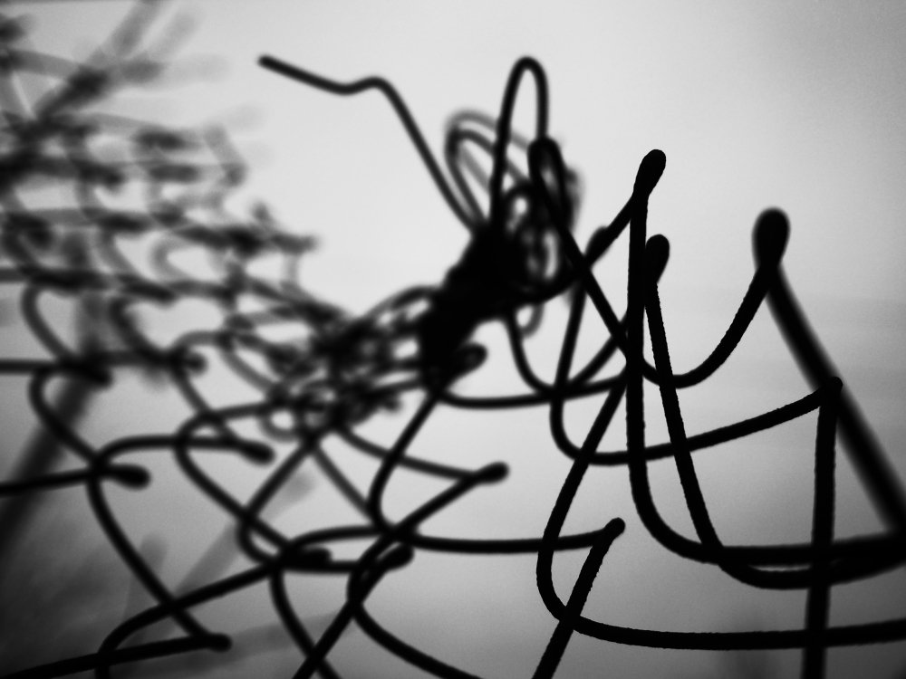 Photograph by Vladimír Hudeček