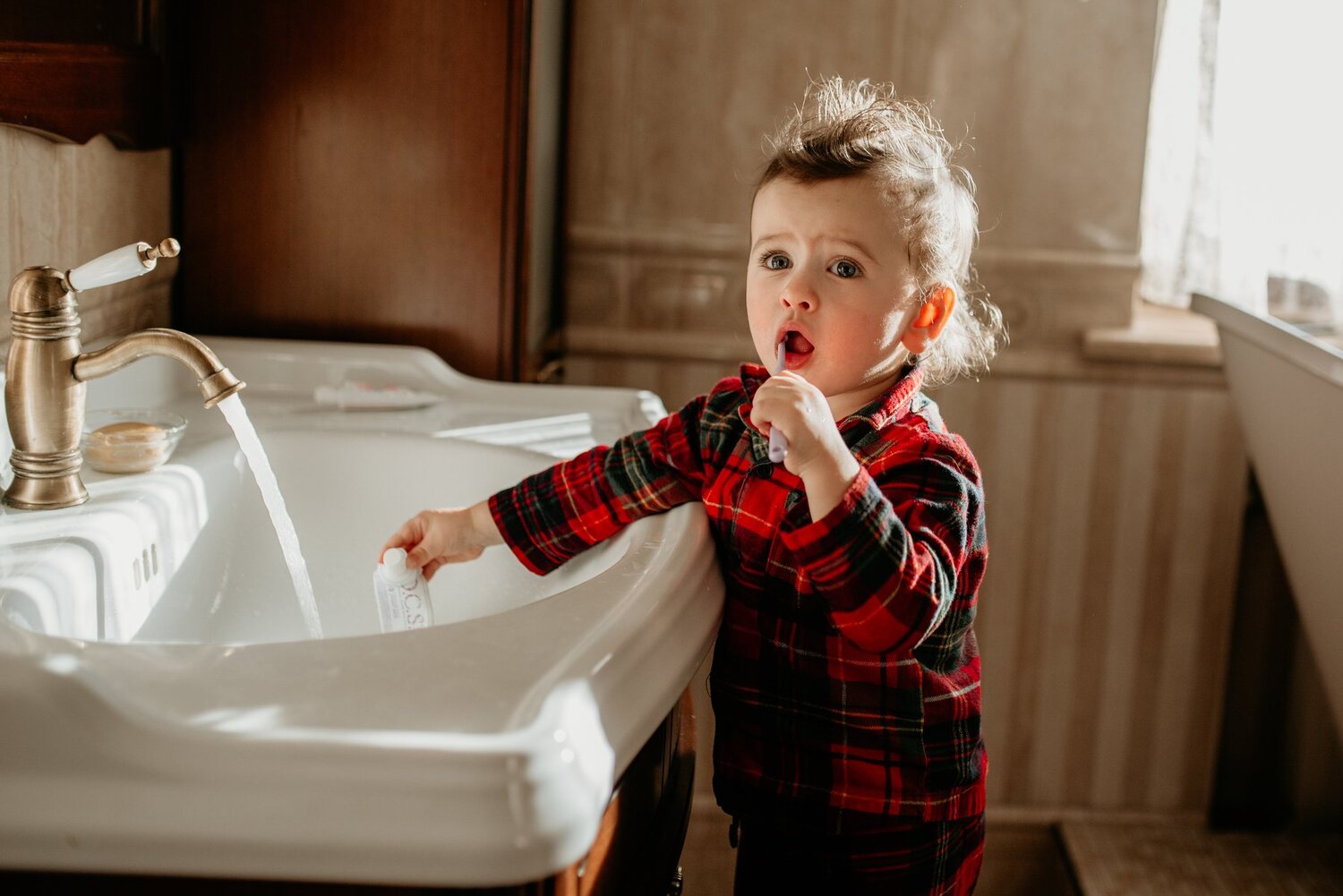 Photo #4186413