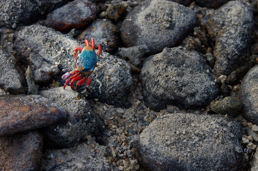 Photograph by Сергей Маранчук