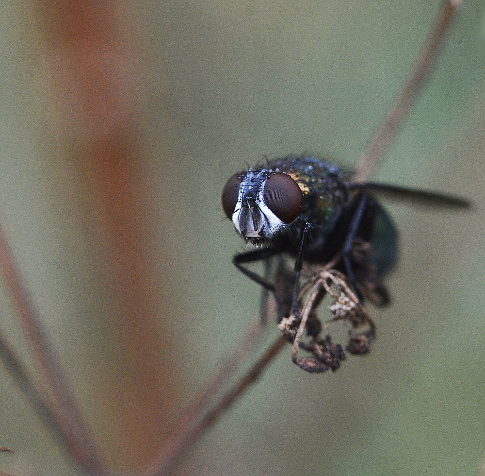 Фотография автора Сергей Суворов