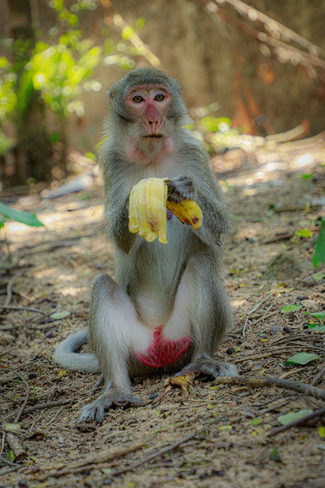 Photograph by Алексей Сухачев