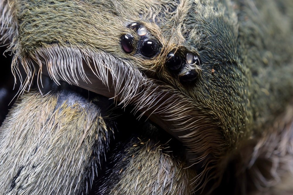 Photograph by Василий Тимофеев