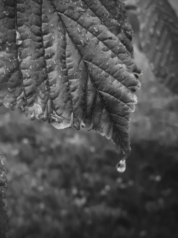 Photograph by Анна Сидоренко