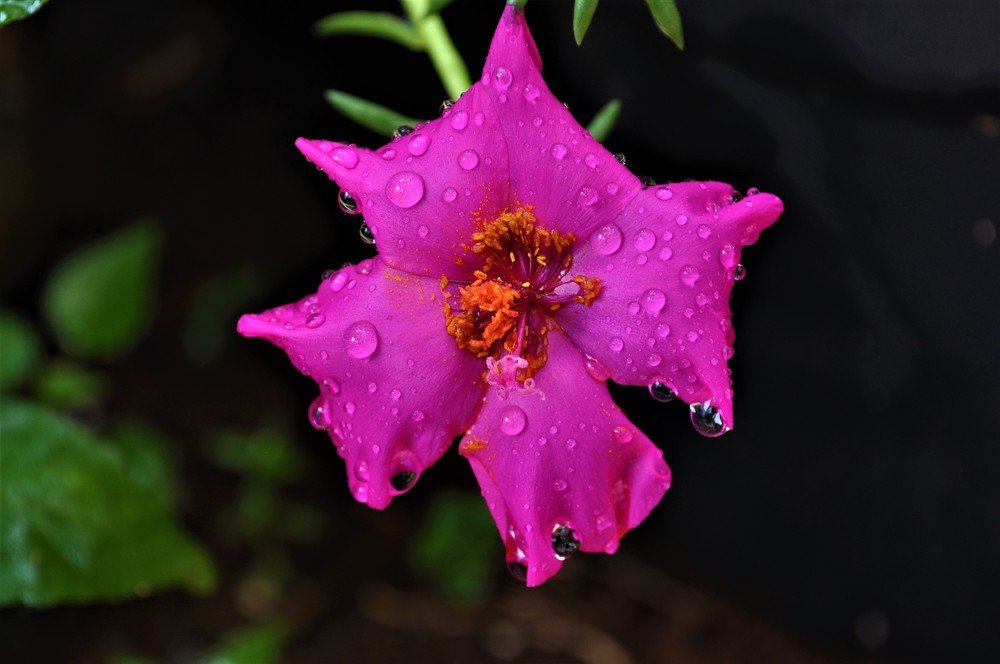 Photograph by Dina Gumanty