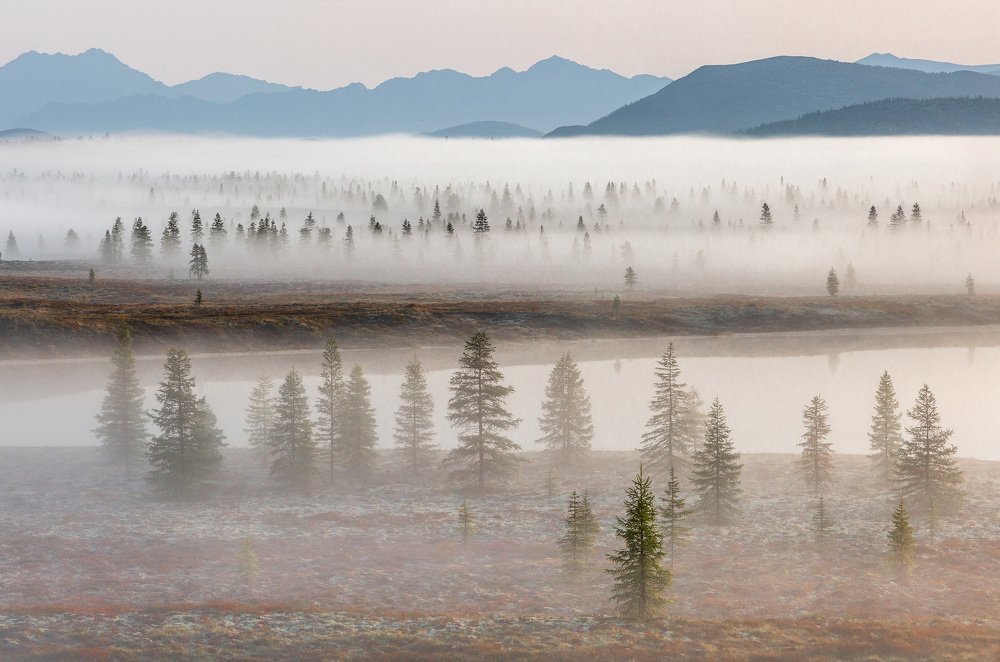 Photograph by Alfia Safuanova