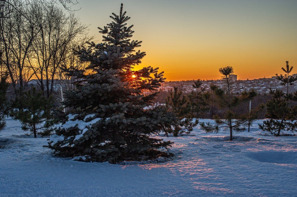 Photograph by Роман Васильев