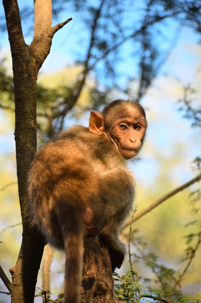 Photograph by santhosh kumar