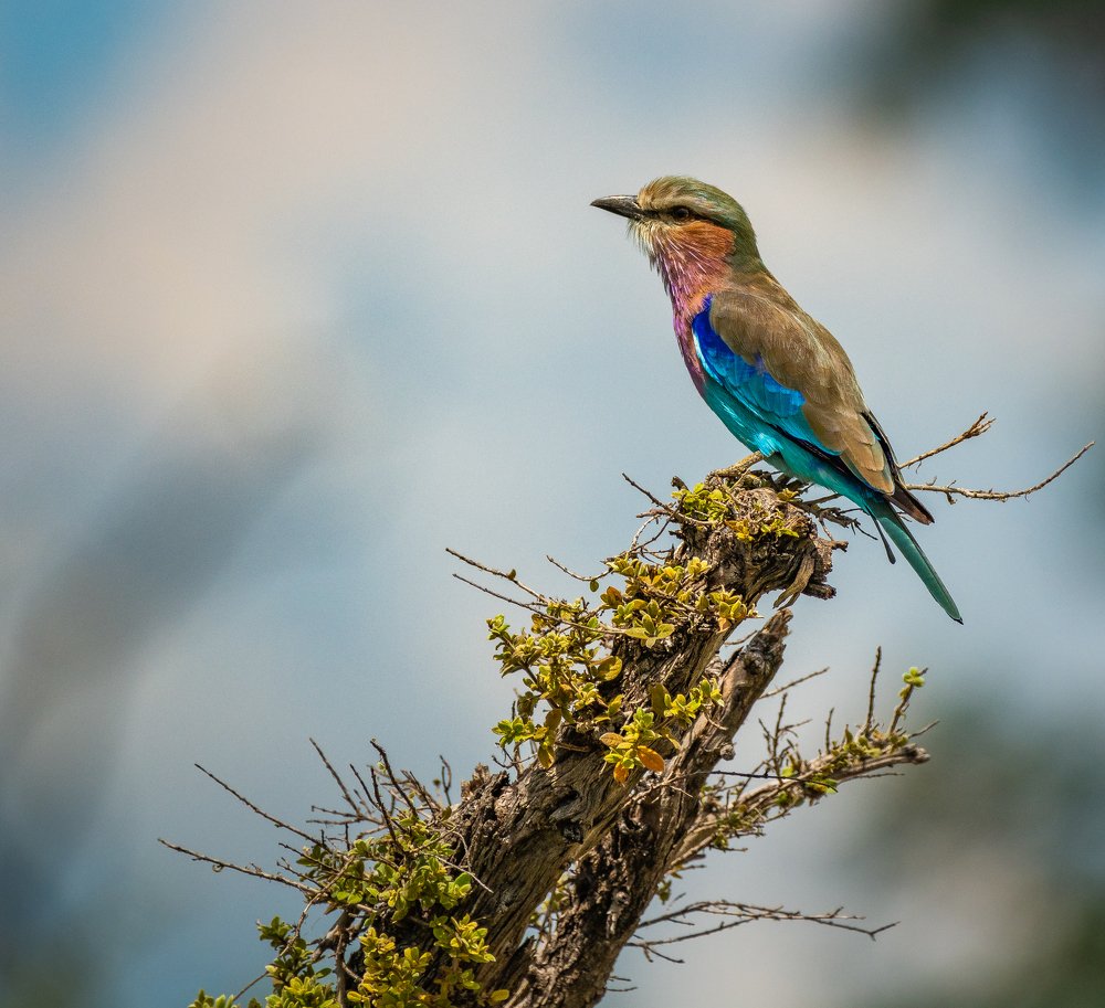 Photograph by Scott Muir