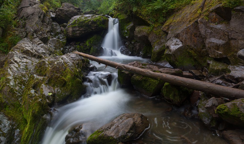 Photograph by Сергей