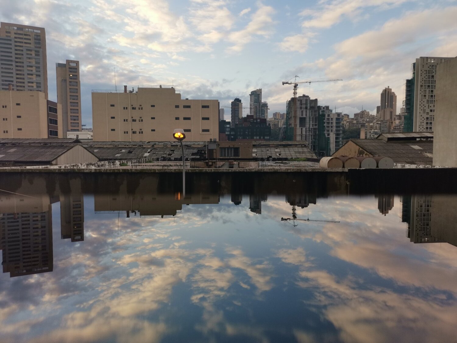 Urban jungle