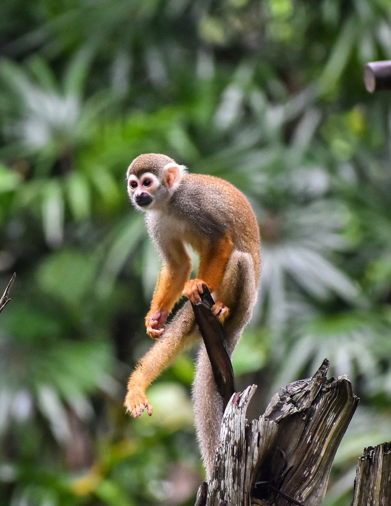 Photograph by Nicholas Ng