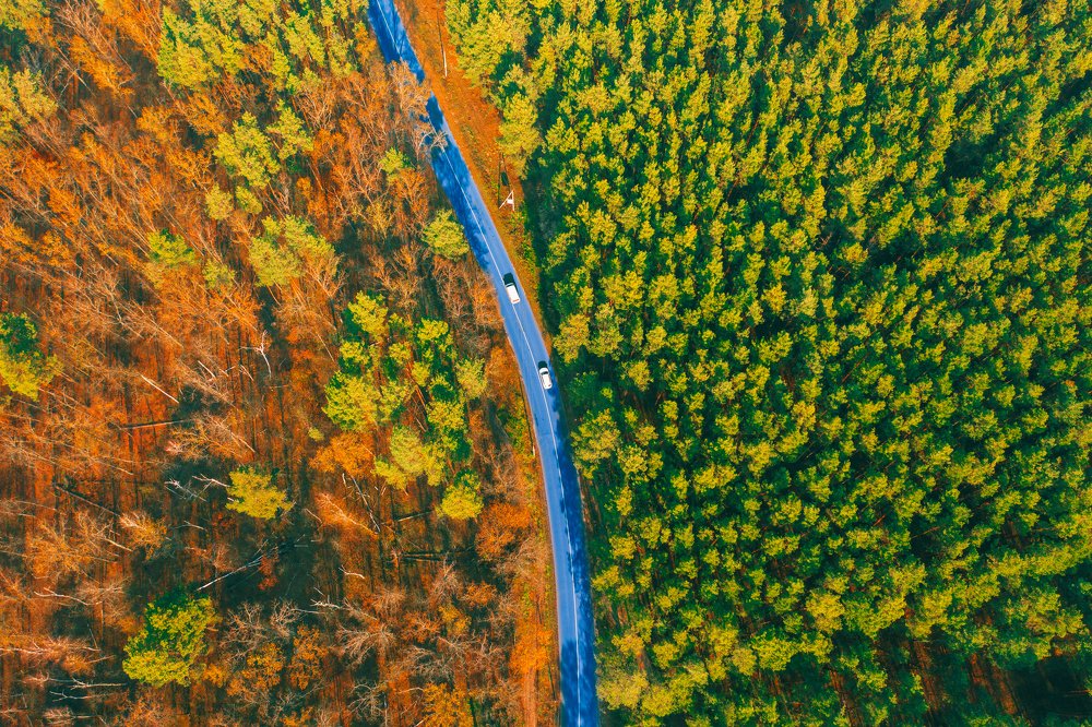 Между Осенью и Летом / Between Autumn and Summer