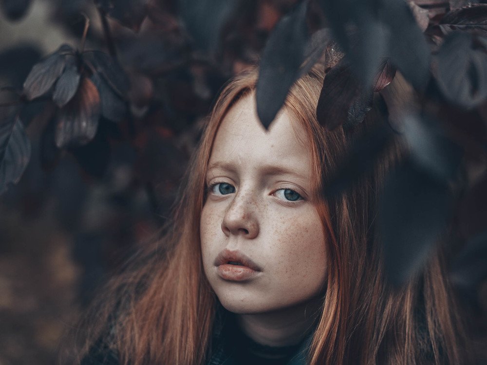Photograph by 