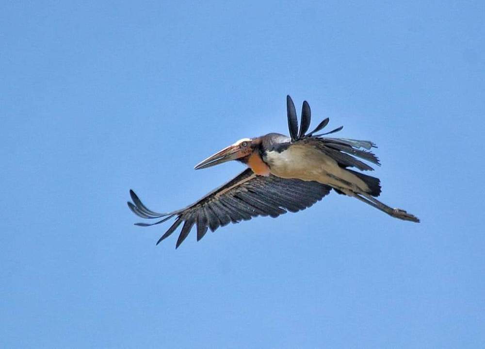 Photograph by Dago Dorji