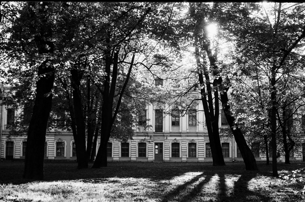In Akhmatova's garden / В ахматовском саду