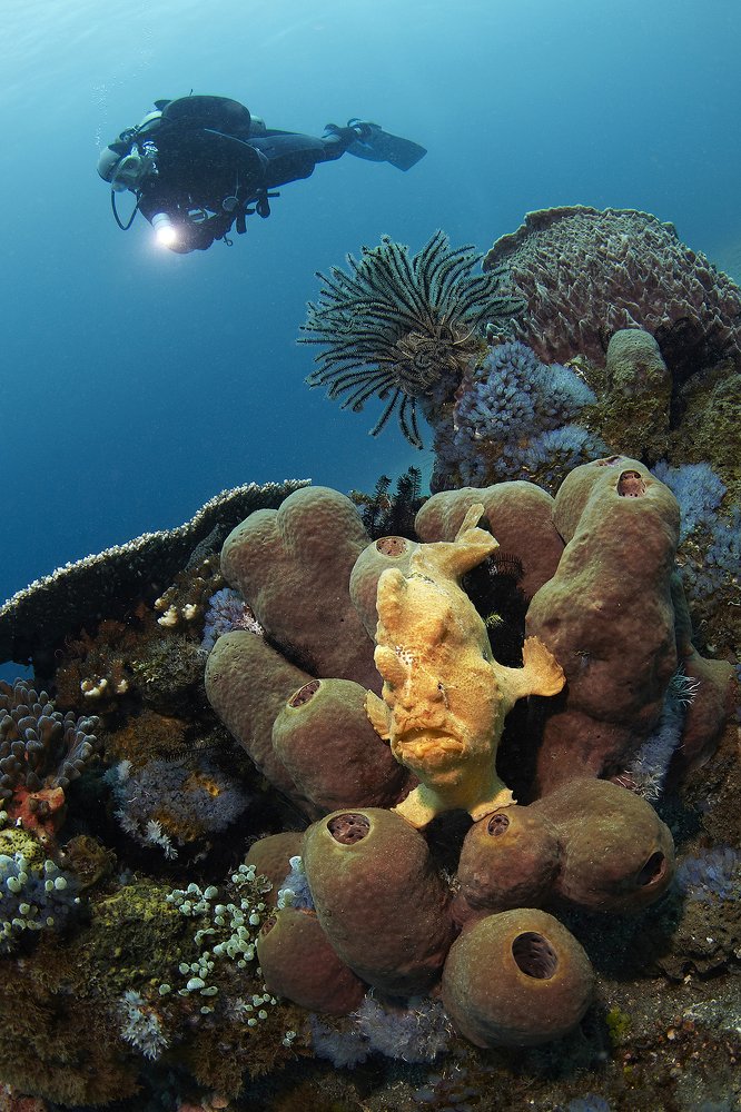 Photograph by Оксана Каменская