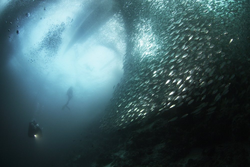 Photograph by Оксана Каменская