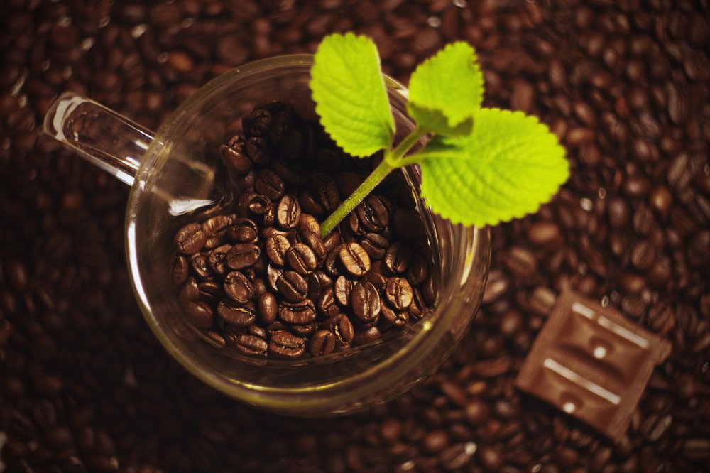 Photograph by Шаромов Иван