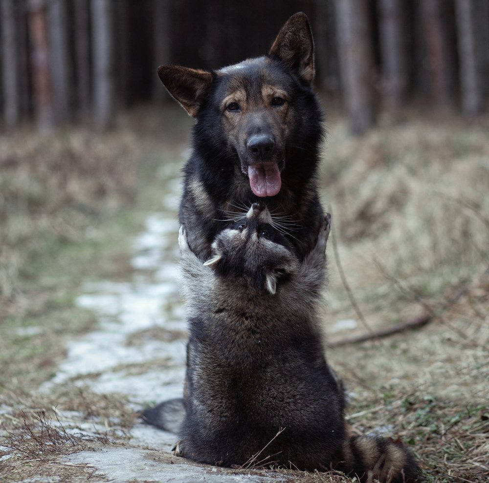 Photograph by Ирина Зайцева
