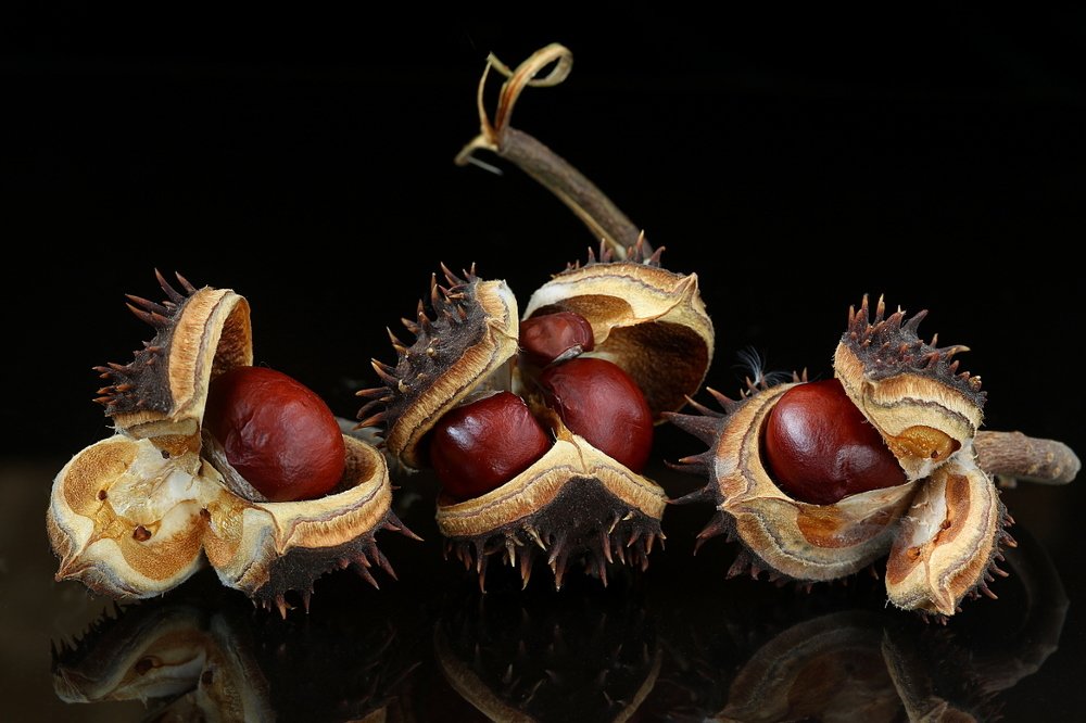 Photograph by Шруб (Беляева) Татьяна