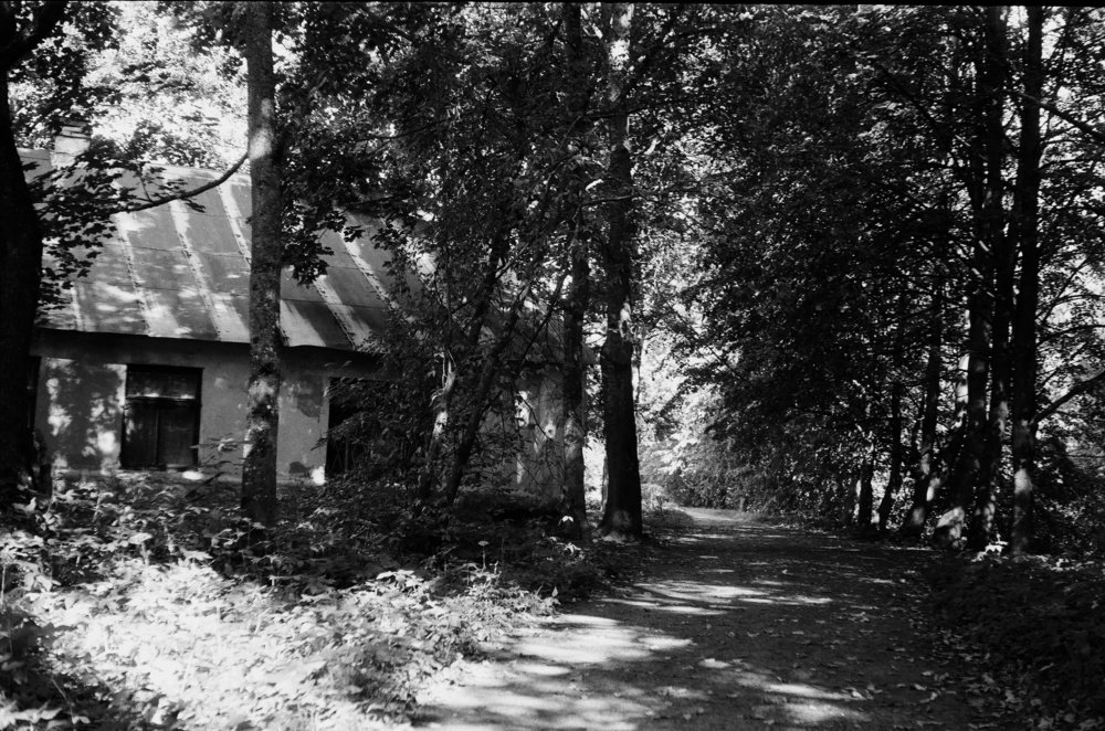 In the park of the University Biological Station / В парке биологической станции Университета