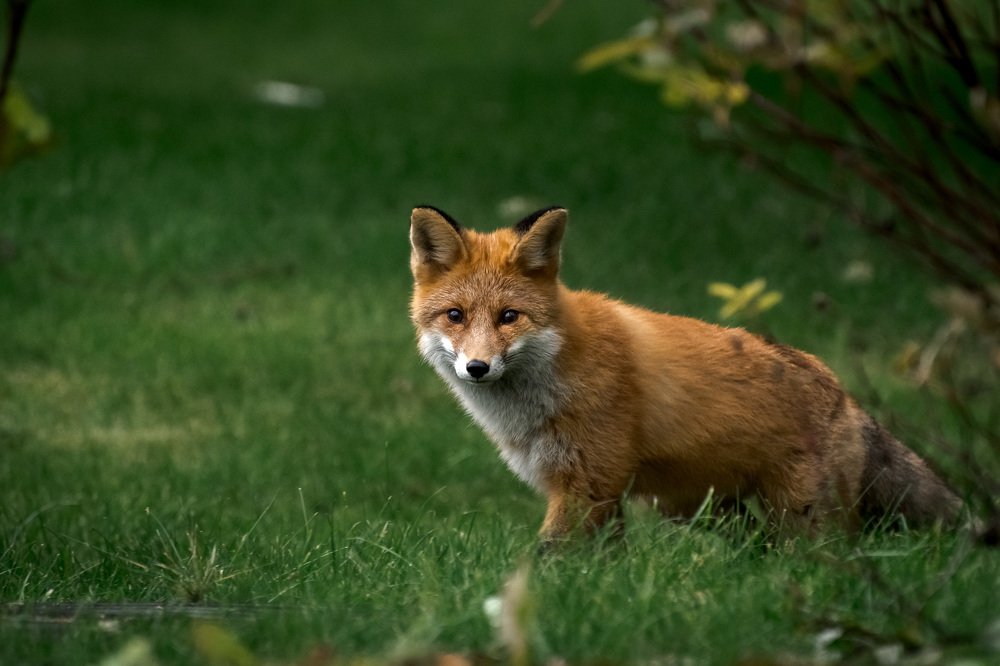 Ну здравствуй!