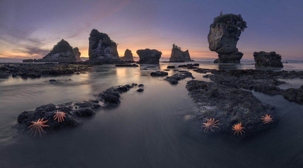 Coast of New Zealand